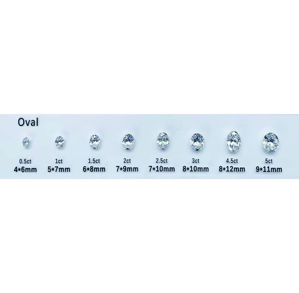 Size Comparison Set - Image 4