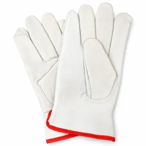 GLOV003 catalog image